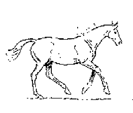 trysk koňa