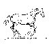 cval koňa